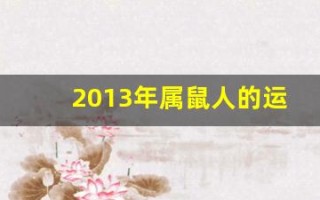 2013年属鼠人的运程(2013年属鼠运势)
