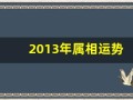 2013年属相运势(2013年2020年运势如何)