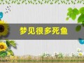 梦见很多死鱼(男人梦见死鱼什么预兆)