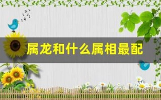 属龙和什么属相最配(属蛇和什么属相最配)