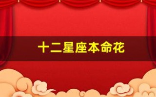 十二星座本命花(十二星座本命花简笔画)