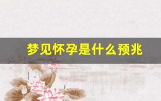 梦见怀孕是什么预兆(梦见怀孕是什么预兆周公解梦女人)