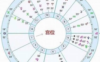 查询星座(查询星座运势)