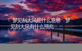 梦见刮大风(梦见刮大风下大雪)