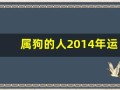 属狗的人2014年运程(属狗人2014年运势运程)