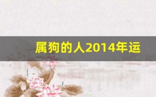 属狗的人2014年运程(属狗人2014年运势运程)