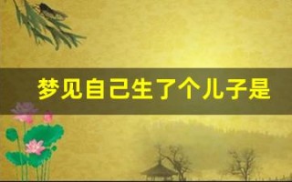 梦见自己生了个儿子是什么意思(梦见自己的儿子是什么意思)