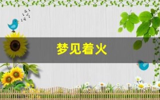 梦见着火(女人梦见火是什么预兆)