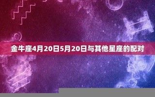星座配对测试爱情(星座爱情匹配测试)