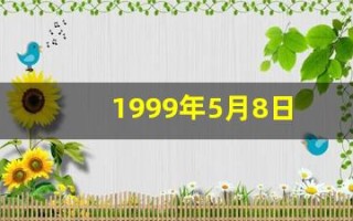1999年5月8日(1999年5月8日新闻联播视频)