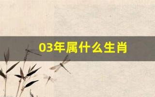 03年属什么生肖(96年属什么生肖)