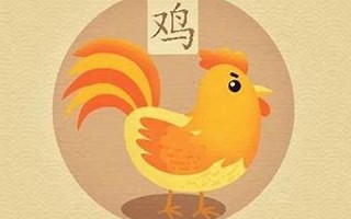 2013属鸡的运程(2013属鸡财运)