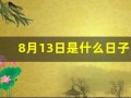8月13日是什么日子(8月13日是什么日子啊)