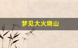 梦见大火烧山(梦见大火烧山自己在火中逃生)