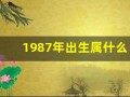 1987年出生属什么(1987年属什么生肖)